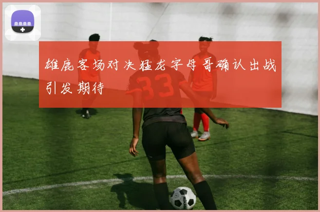 雄鹿客场对决猛龙字母哥确认出战引发期待