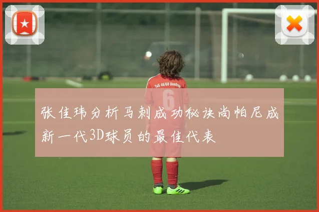 张佳玮分析马刺成功秘诀尚帕尼成新一代3D球员的最佳代表