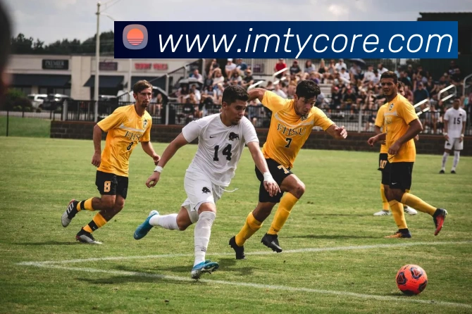 IM体育平台生态图